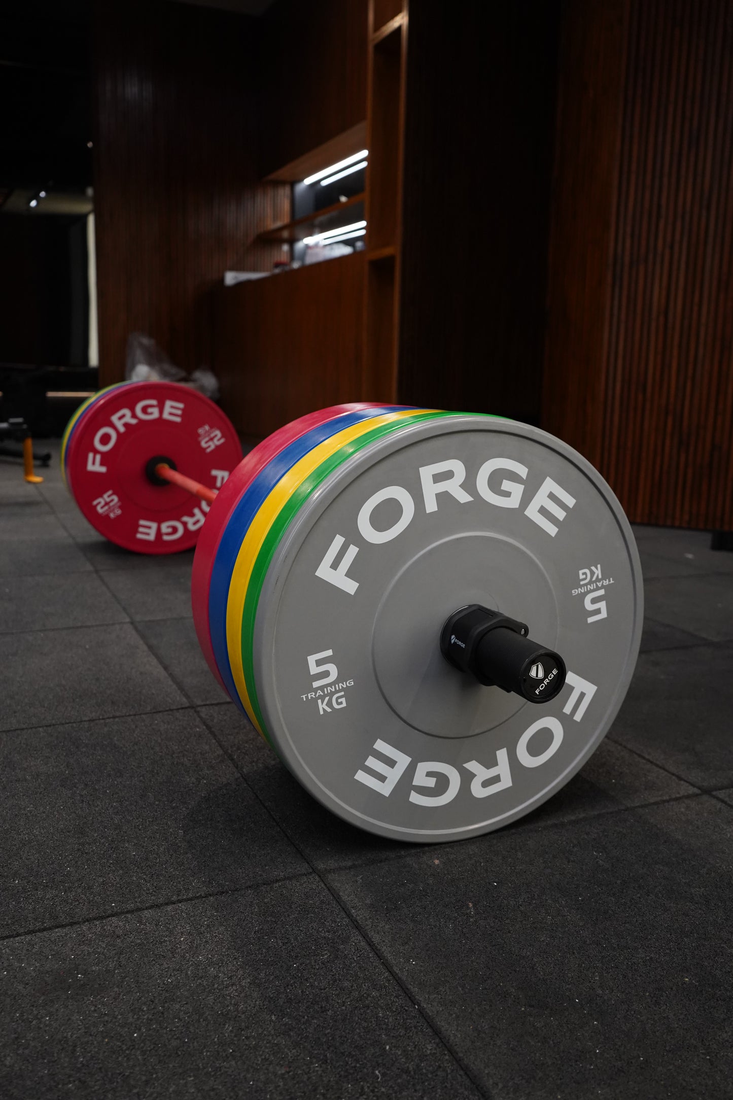 Color Training Bumper Plates